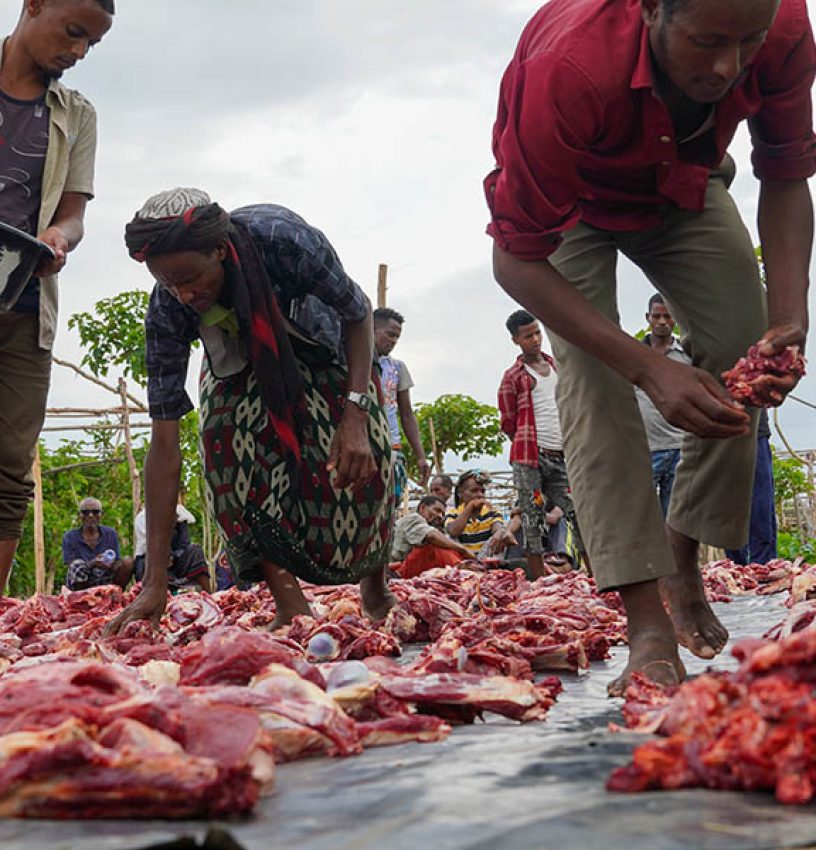 Qurbani distribution 13